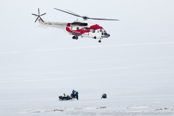 Polar bear in Adventdalen, helicopter