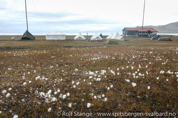 Campingplass Longyearbyen