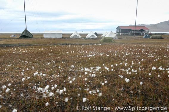 Campingplatz Longyearbyen