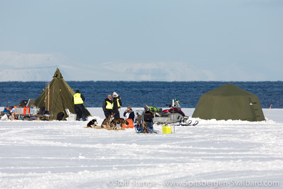 Trappers Trail: dog sledge race of the Longyearbyen dog club