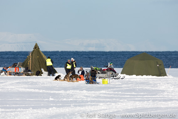 Trappers Trail: Hundeschlittenrennen des Longyearbyen Hundeklub