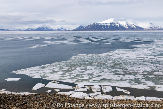 Van Mijenfjorden nasjonalpark