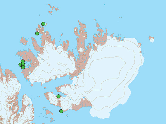 Neue Regeln, Spitzbergen