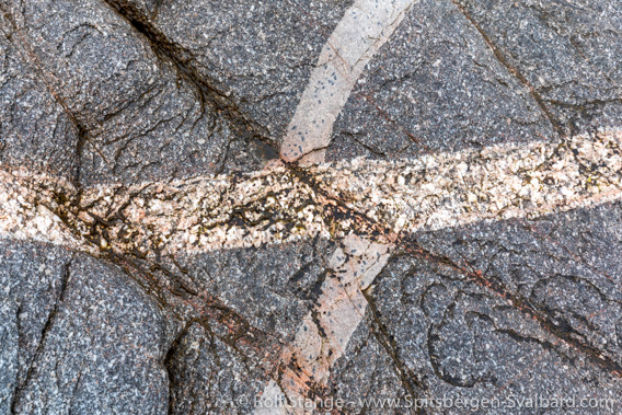 Intrusive veins, Chermsideøya