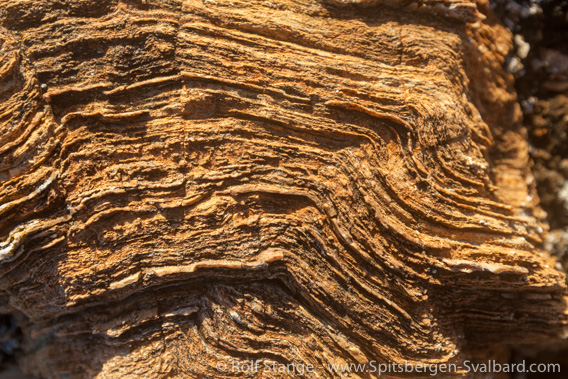 Schist, Hermansenøya