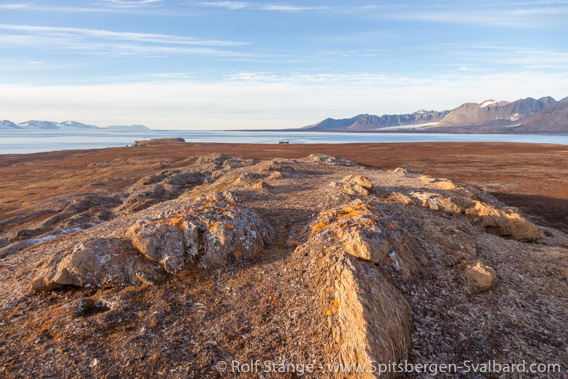 Hermansenøya
