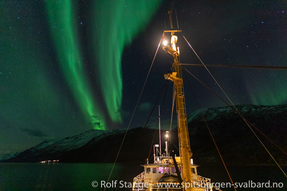 MS Cape Race, Kvænangen 2021