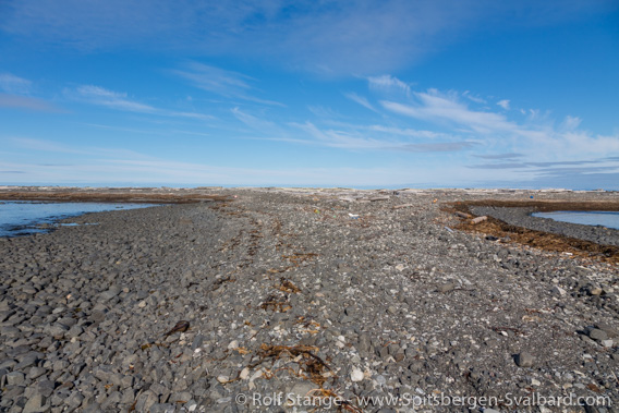 Tusenøyane: Havmerra