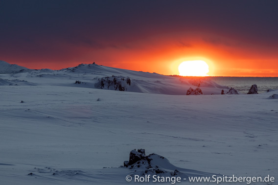 Farmhamna Sonnenaufgang