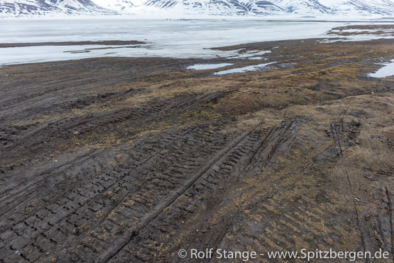 Adventdalen: beschädigte Tundra