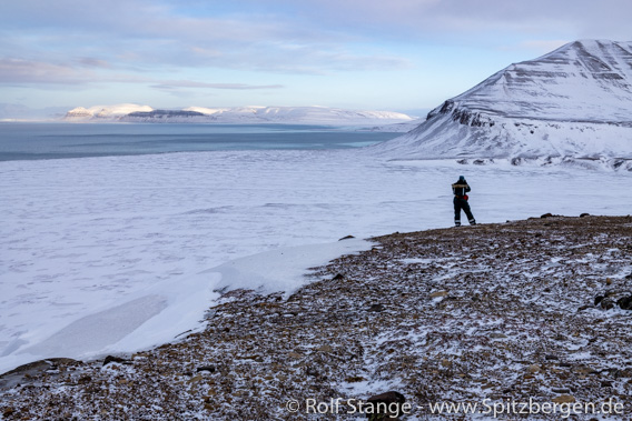 Elveneset, Sassenfjord