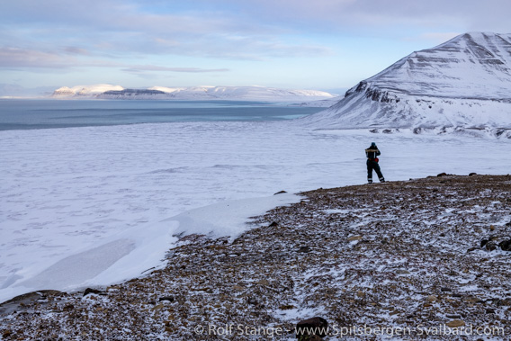 Elveneset, Sassenfjord