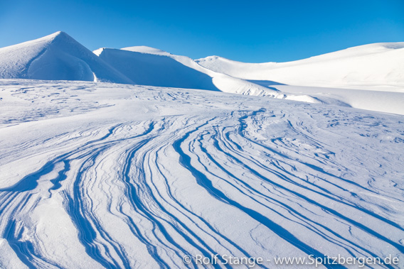 Schnee, Nordenskiöld Land