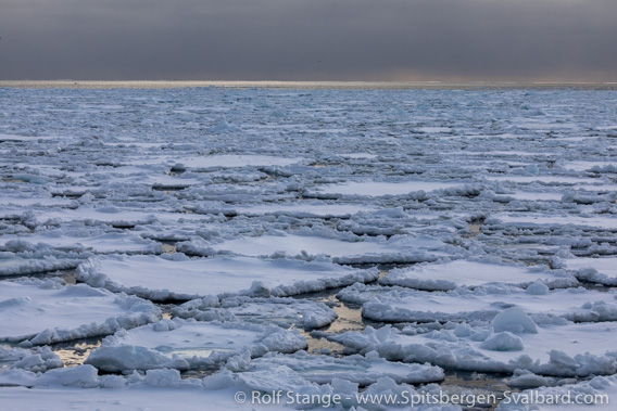 Drift ice, Barents Sea