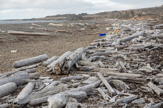 Scoresbyøya, driftwood and plastic