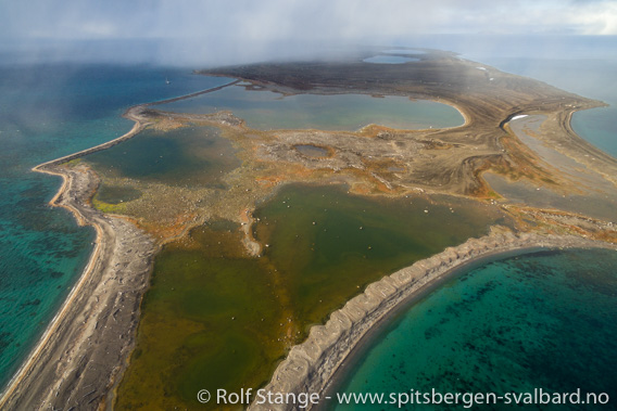 Scoresbyøya, sørspissen