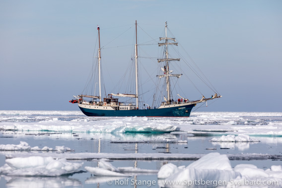 SV Antigua 2022, drift ice near Spitsbergen