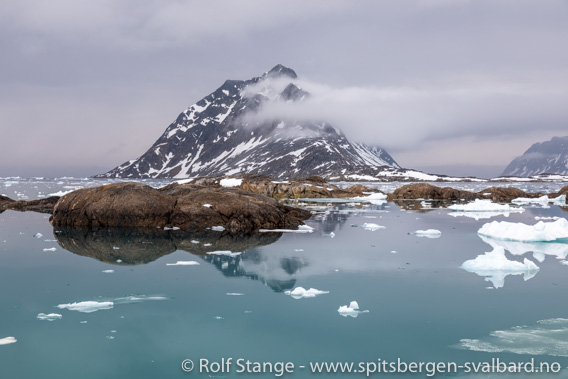 Fugleholmane, Fuglefjorden