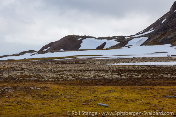 Rock glacier, Fuglehuken, Prins Karls Forland