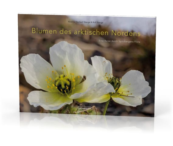 Blumen des arktischen Nordens