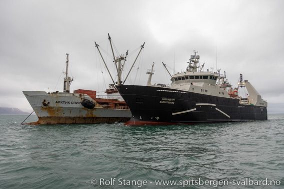 Russiske fiskeriskip, Svalbard