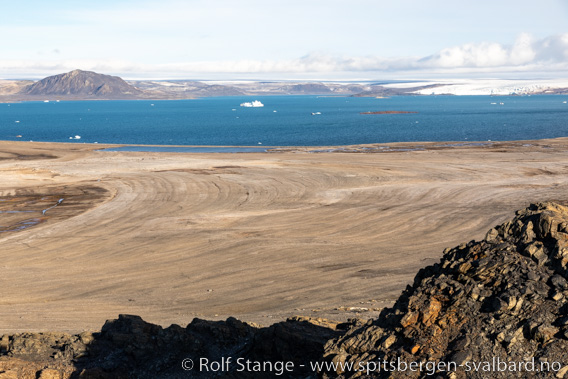 Polarørkendesert, Nordaustland