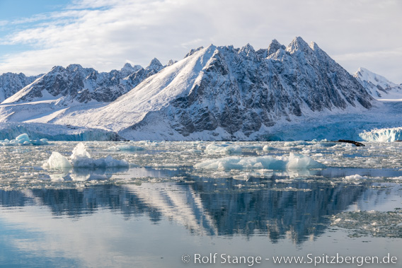 Monacobreen, Liefdefjord