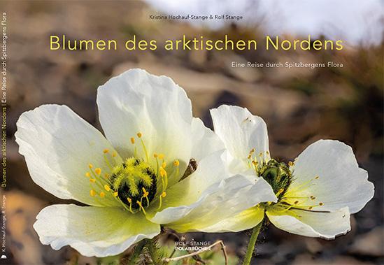 Neues Buch: Blumen des arktischen Nordens. Eine Reise durch Spitzbergens Flora