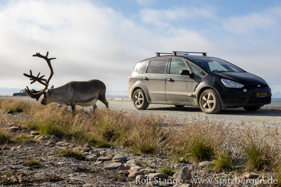 Auto, Spitzbergen