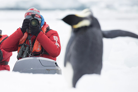 Arjen Drost (1976-2023), with emperor penguin, Ross Sea