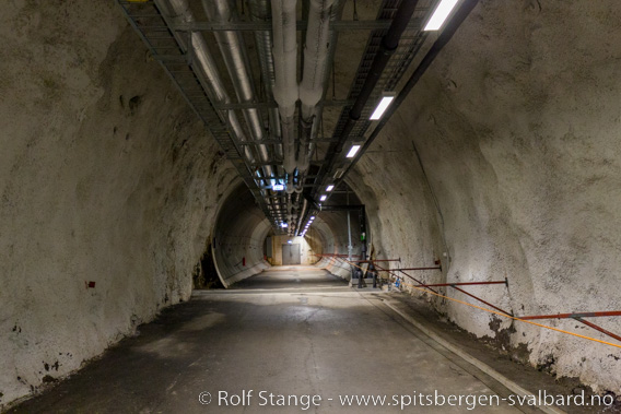 Svalbard global seed vault