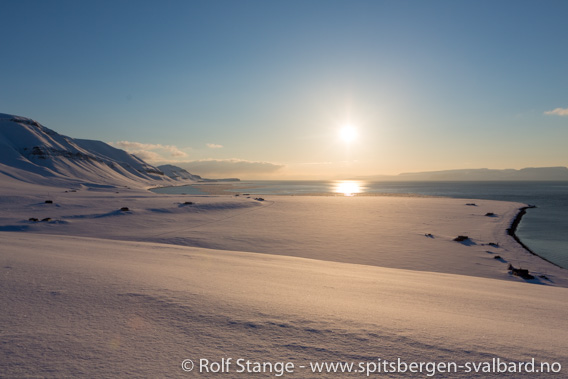 Vindodden, Sassenfjorden