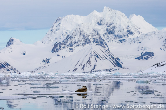 SV Antigua 2023: Hornsund, Spitzbergen