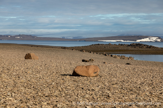 Polar desert, Nordaustland