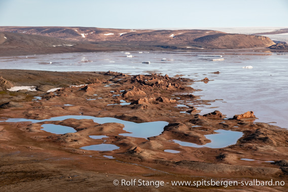 Oxfordhalvøya, Wahlenbergfjord