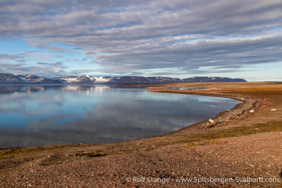 Worsleyneset on Reinsdyrflya, Woodfjord