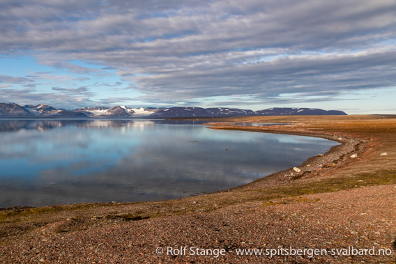 Worsleyneset på Reinsdyrflya, Woodfjord