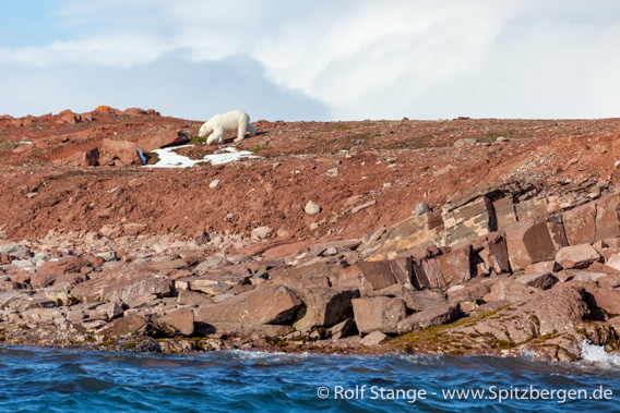 Geologie Liefdefjord: Old Red, Andøyane