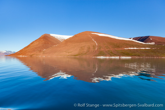 Geology Liefdefjord: Old Red, Roosfjella