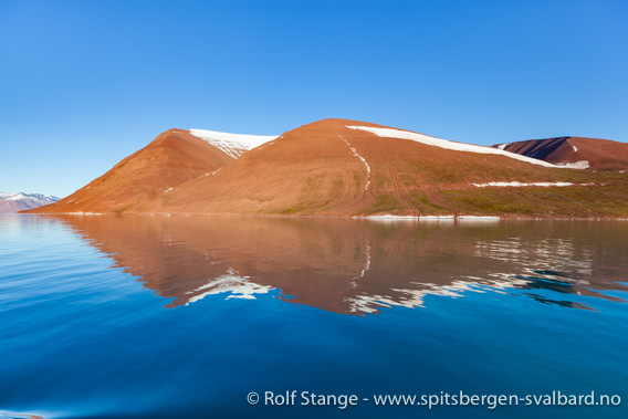 Geology Liefdefjorden: Old Red, Roosfjella