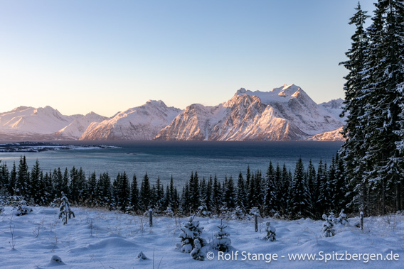 Lyngen Alpen von Uløya