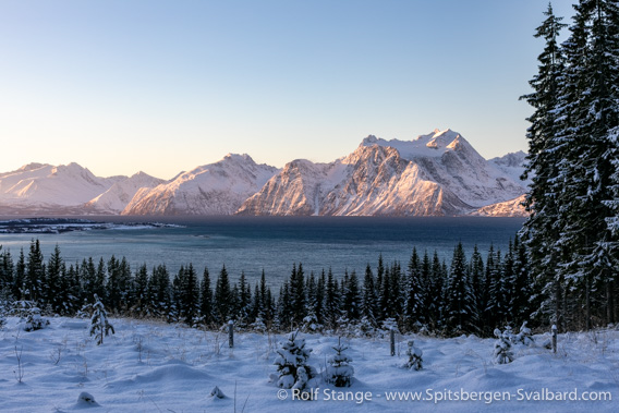Lyngen Alps from Uløya