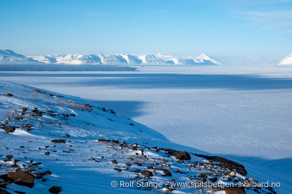 Sassenfjorden med is