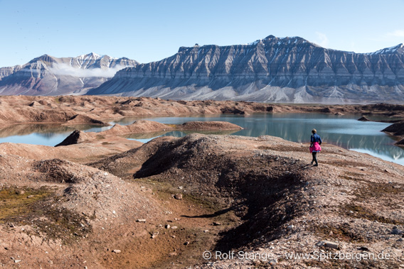 Hochsommer, Spitzbergen