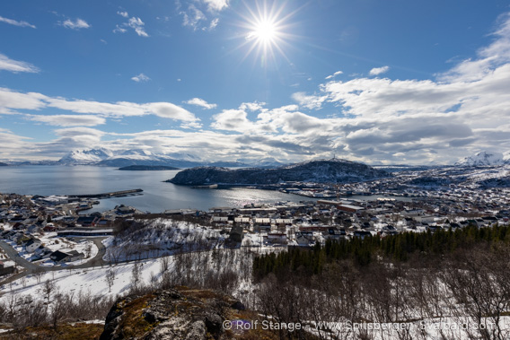Skjervøy