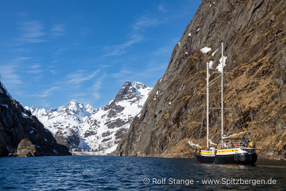 Meander im Trollfjord