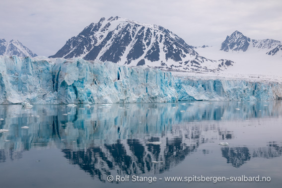 Lilliehöökbreen, Krossfjord