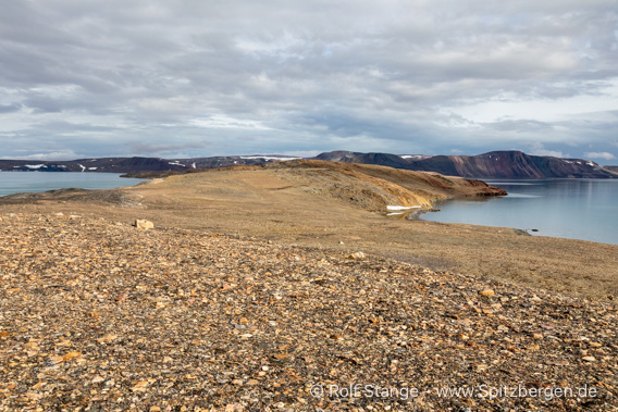 Polarwüste Murchisonfjord