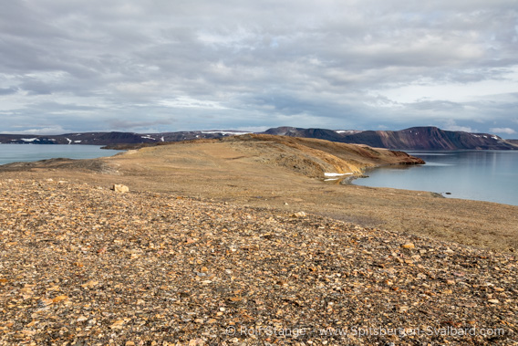 Polar desert Murchisonfjord