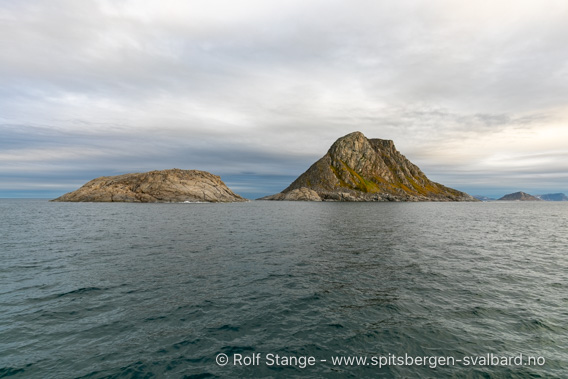 Rossøya og Vesle Tavleøya, Sjuøyane, Svalbard